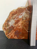Petrified Wood Bookends