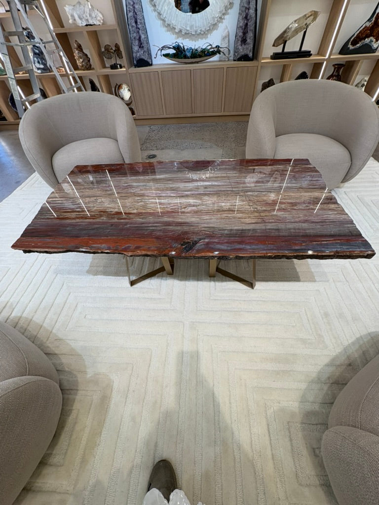 ARIZONA PETRIFIED WOOD COFFEE TABLE