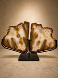 AGATE WINGS