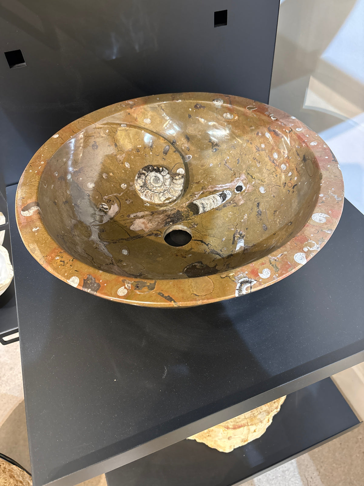 Ammonite Sink