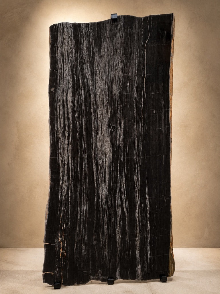 ARIZONA PETRIFIED WOOD