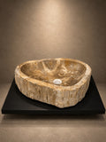 PETRIFIED WOOD SINK