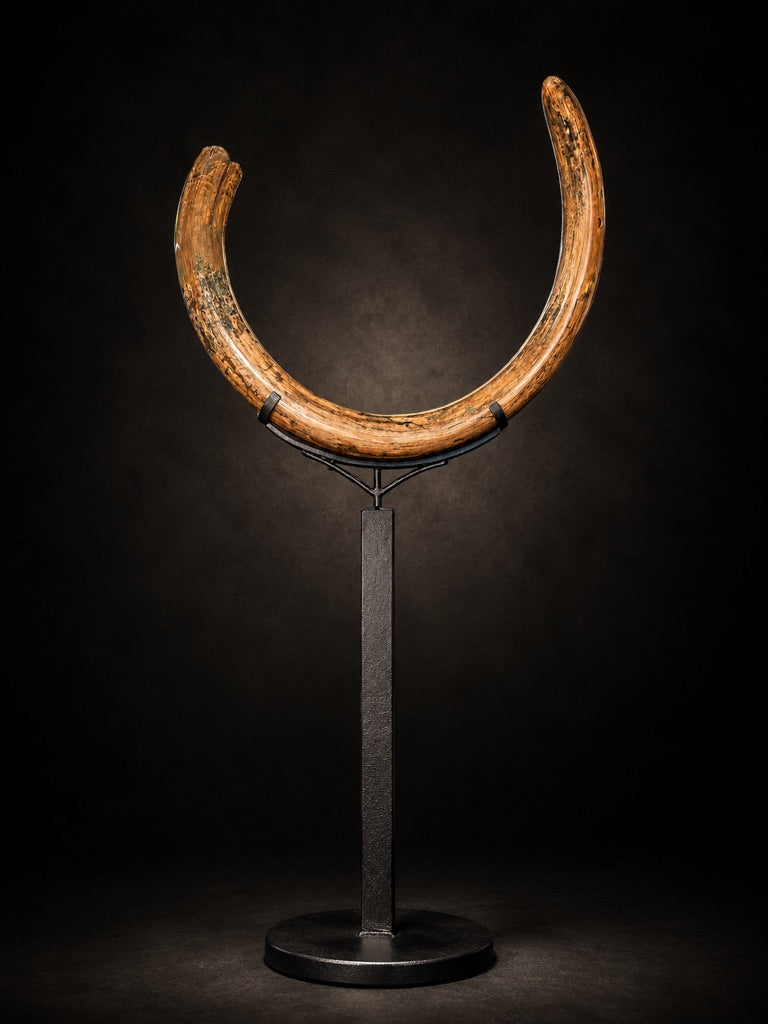 WOOLY MAMMOTH TUSK