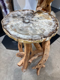 Petrified Wood table