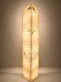NACAR ONYX