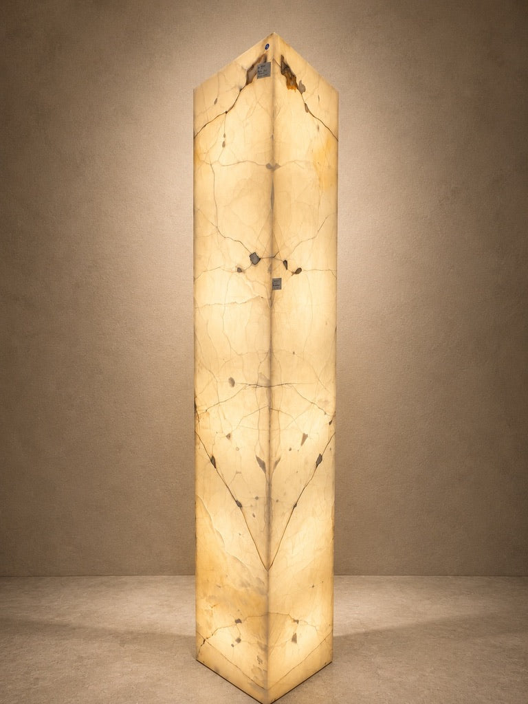 NACAR ONYX