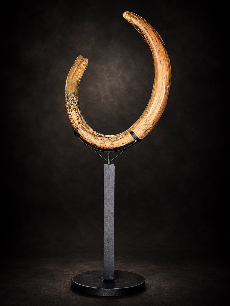 WOOLY MAMMOTH TUSK