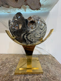 AMMONITE MADAGASCAR