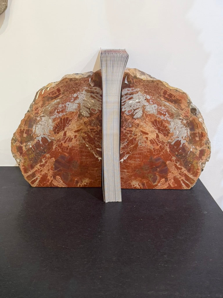 Petrified Wood Bookends