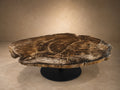 PETRIFIED WOOD SIDE TABLE
