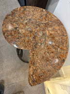 Ammonite Table