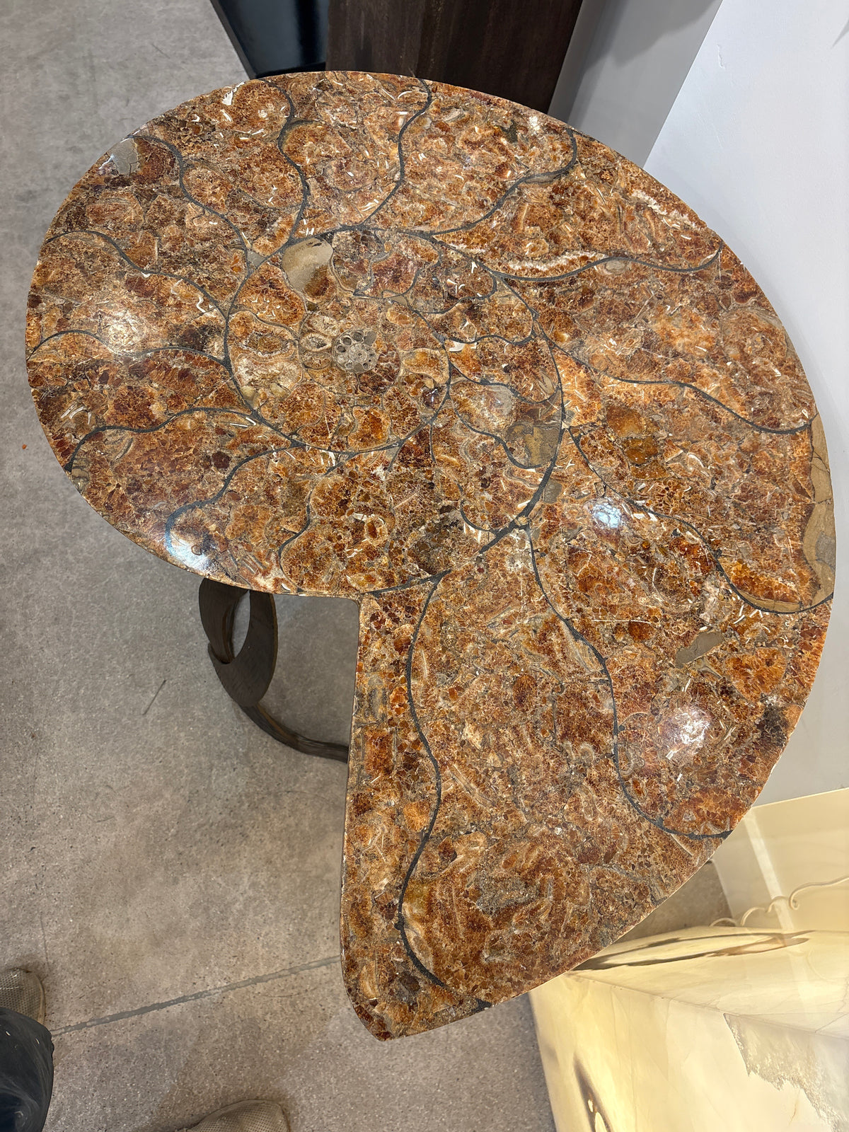 Ammonite Table