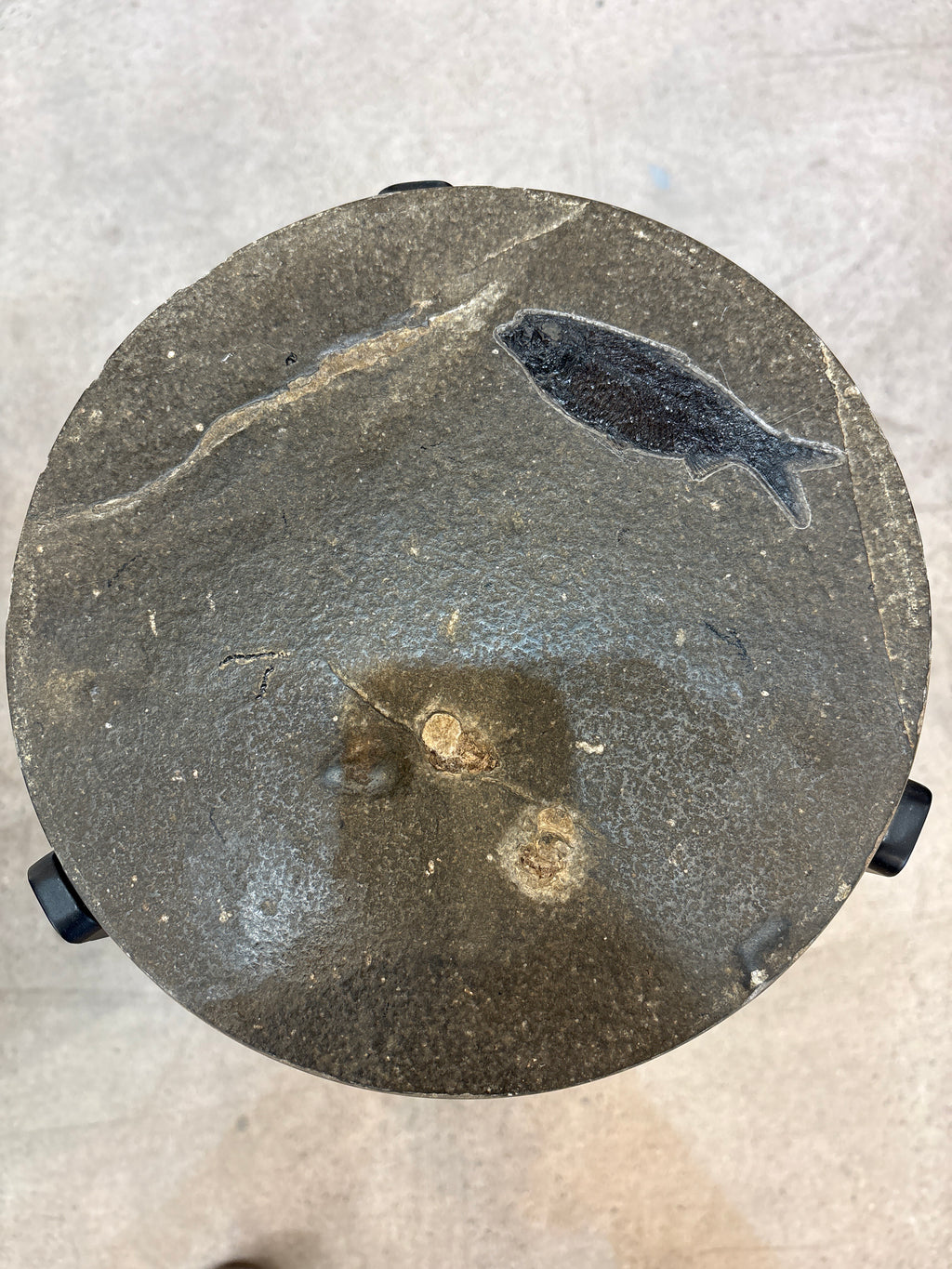 Fossil side table