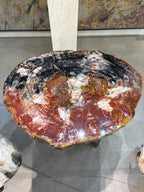Petrified wood table.