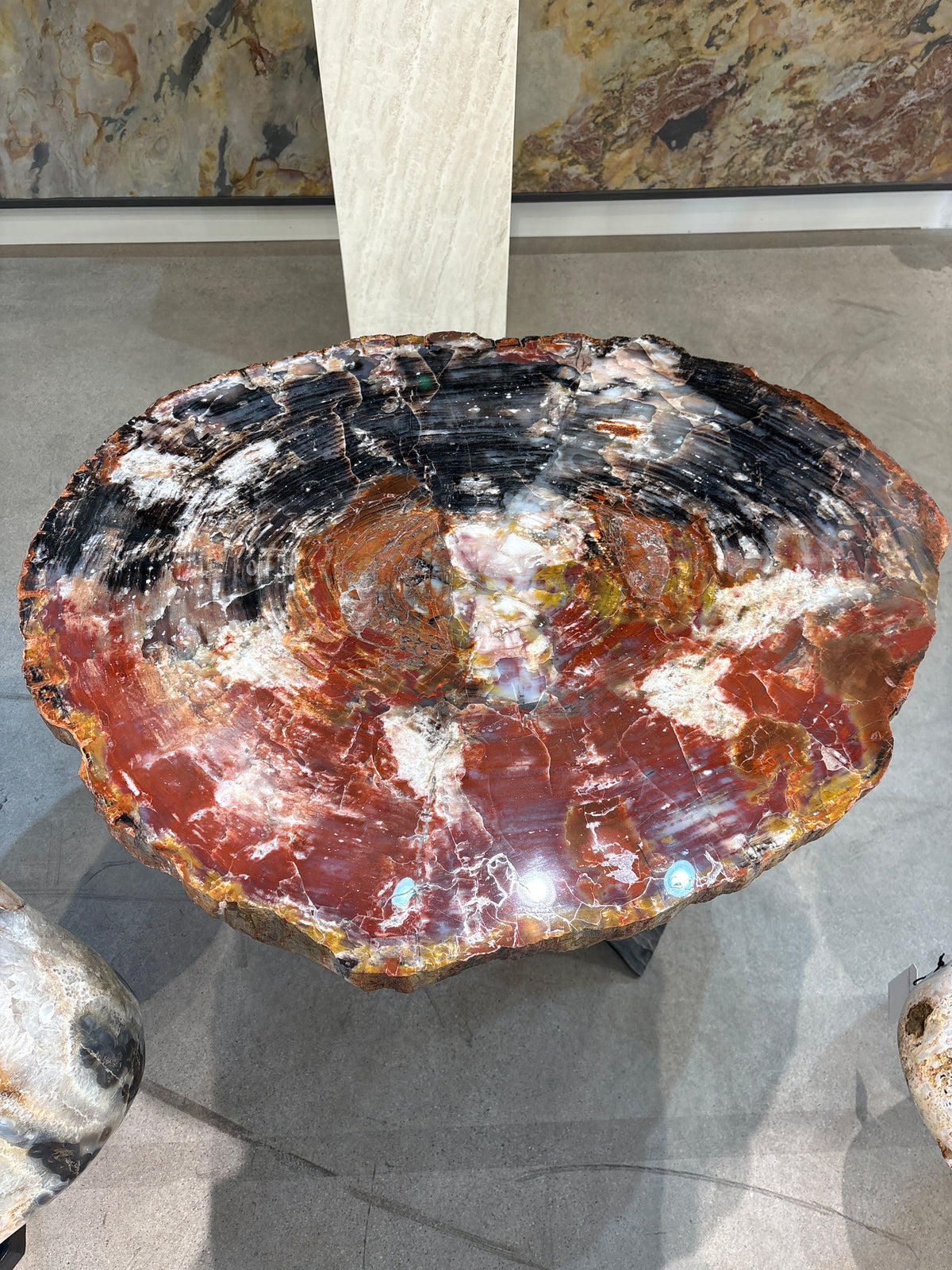 Petrified wood table.