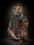 TURKISH PETRIFIED WOOD SLAB