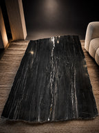 ARIZONA PETRIFIED WOOD COFFEE TABLE