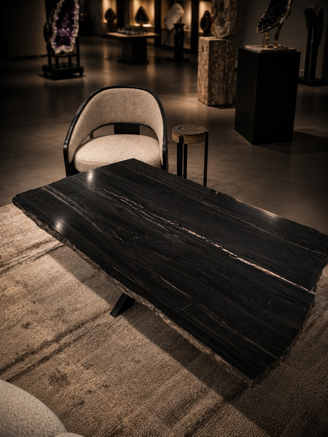 ARIZONA PETRIFIED WOOD COFFEE TABLE